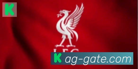 AG真人合作伙伴